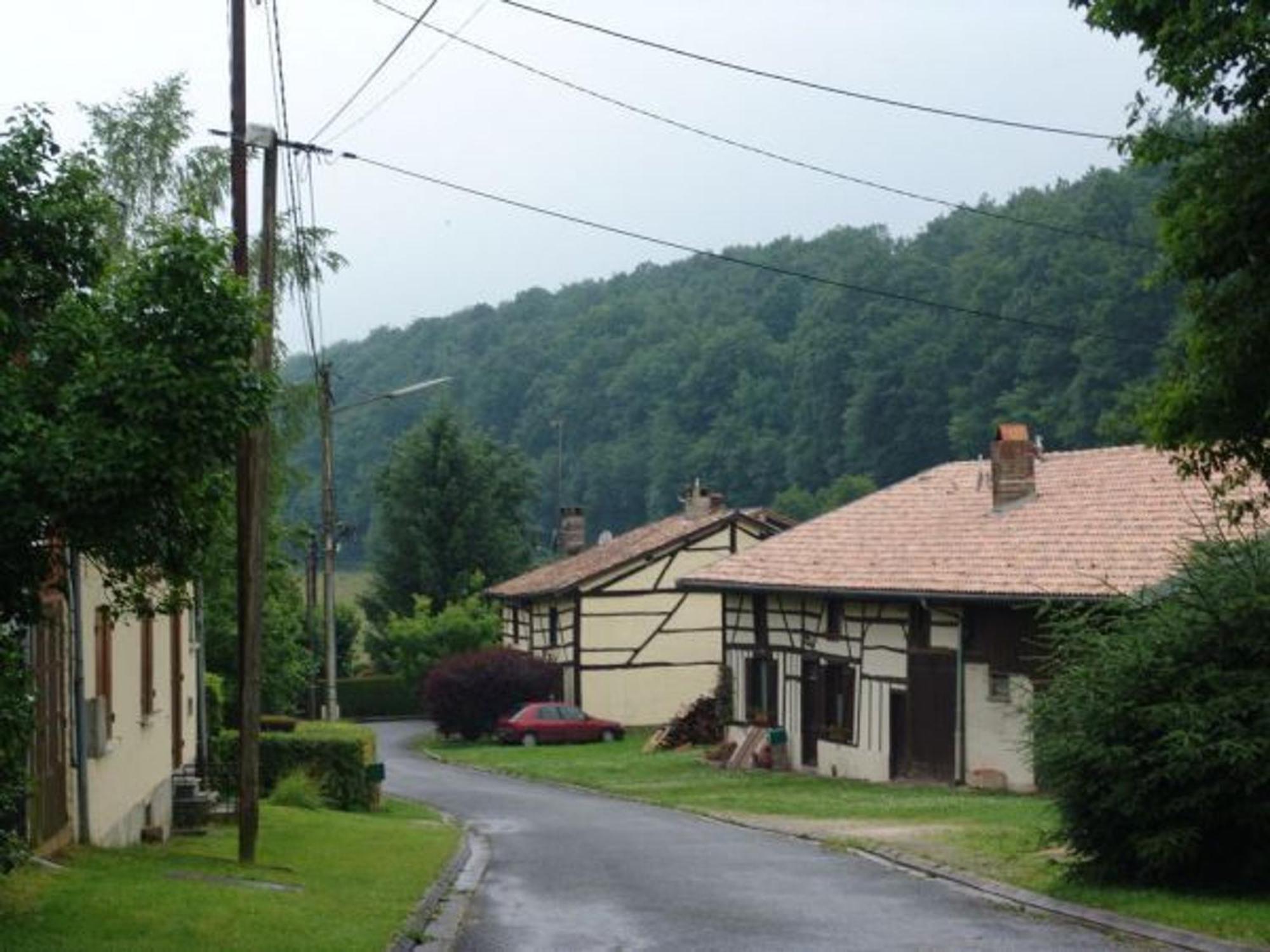 Chambres Elegantes Au Coeur De La Foret D'Argonne - Fr-1-585-138 Futeau Exteriör bild